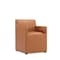 Manhattan Comfort Anna Square Faux Leather Dining Chair in Saddle - Set of 2 2-DC058AR-SA - alternate 2